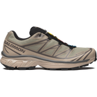 XT-6 GTX