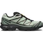 XT-6 GTX